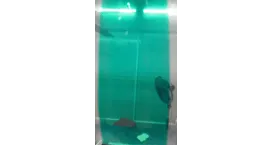 石墨烯合作案例